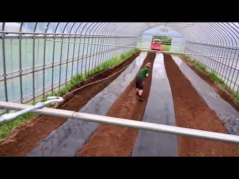 nhà vòm trồng rau